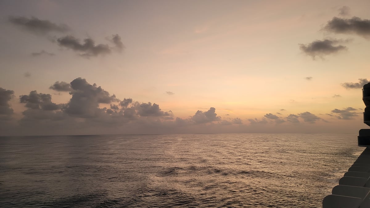 1 Dec 2025 - 06:10
