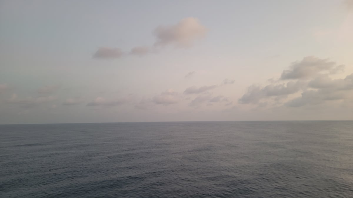 1 Dec 2025 - 06:10