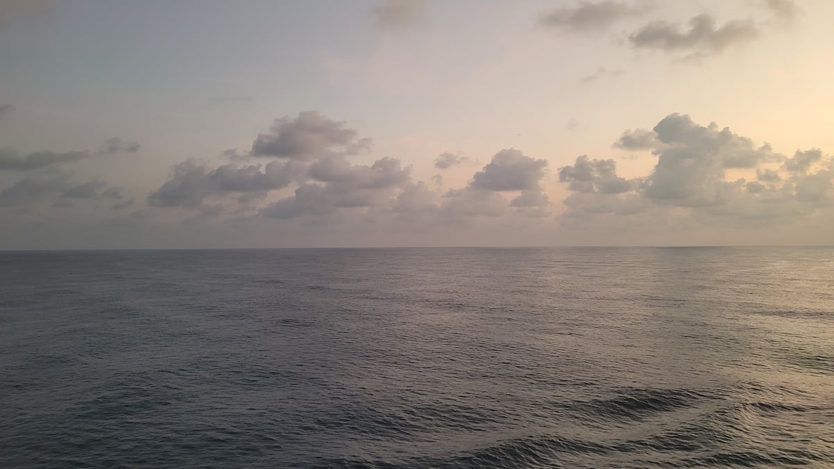 1 Dec 2025 - 06:10