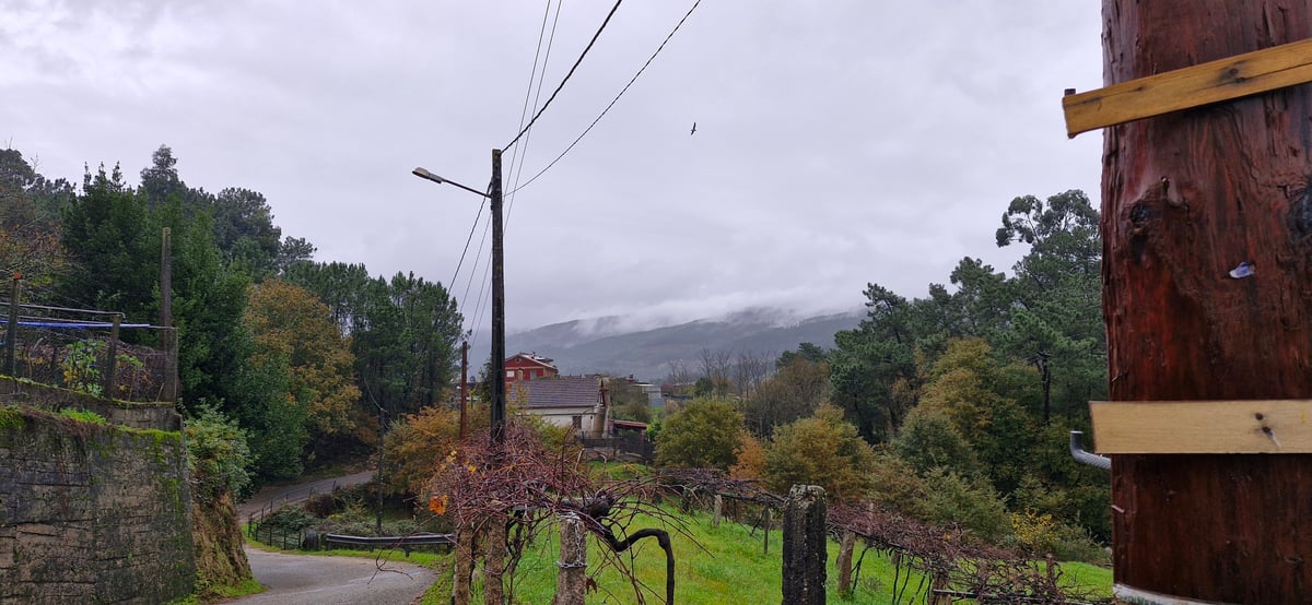 Misty Views, Spain