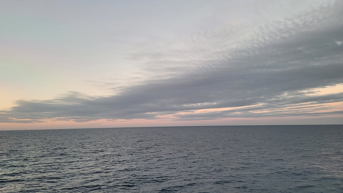 5 Dec 2025 - 08:30