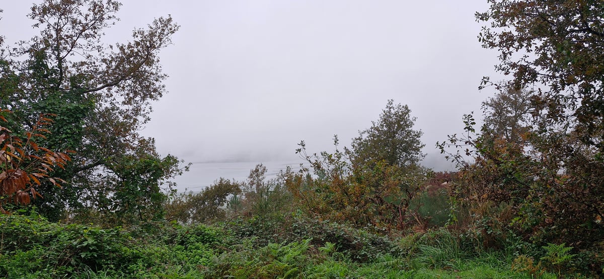 Più tempo umido e panorami nebbiosi, Spagna