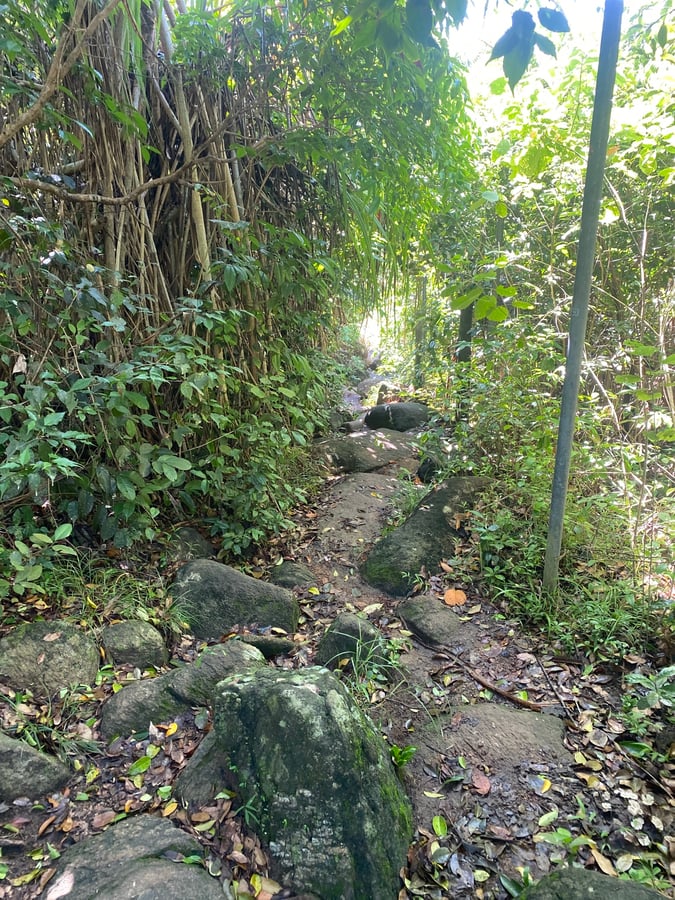 6 Dec 2025 - 10:13, Sri Lanka