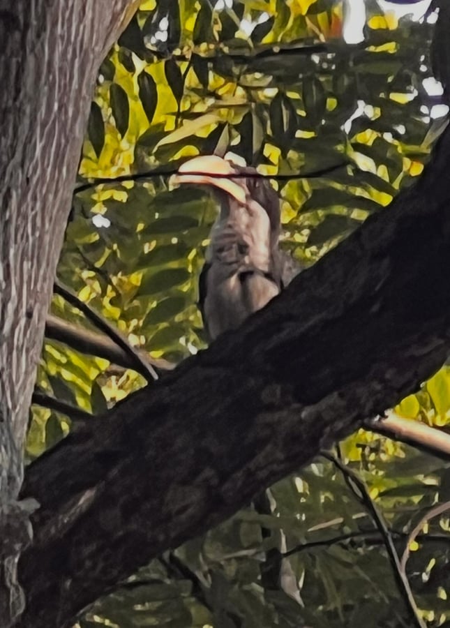 16 Dec 2025 - 07:45, Sri Lanka