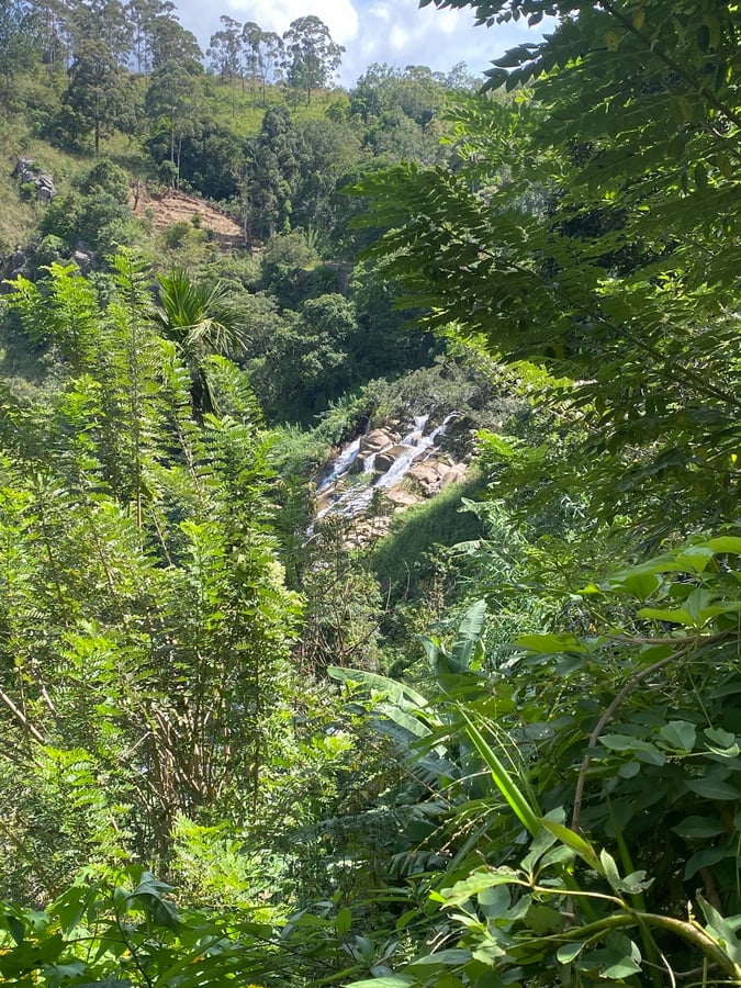 16 Dec 2025 - 11:52, Sri Lanka