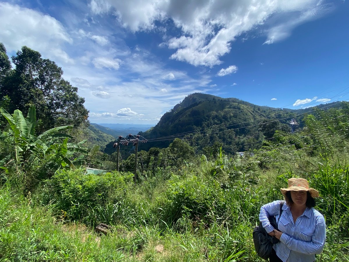 16 Dec 2025 - 12:22, Sri Lanka