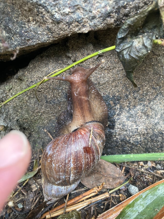 18 Dec 2025 - 09:42, Sri Lanka