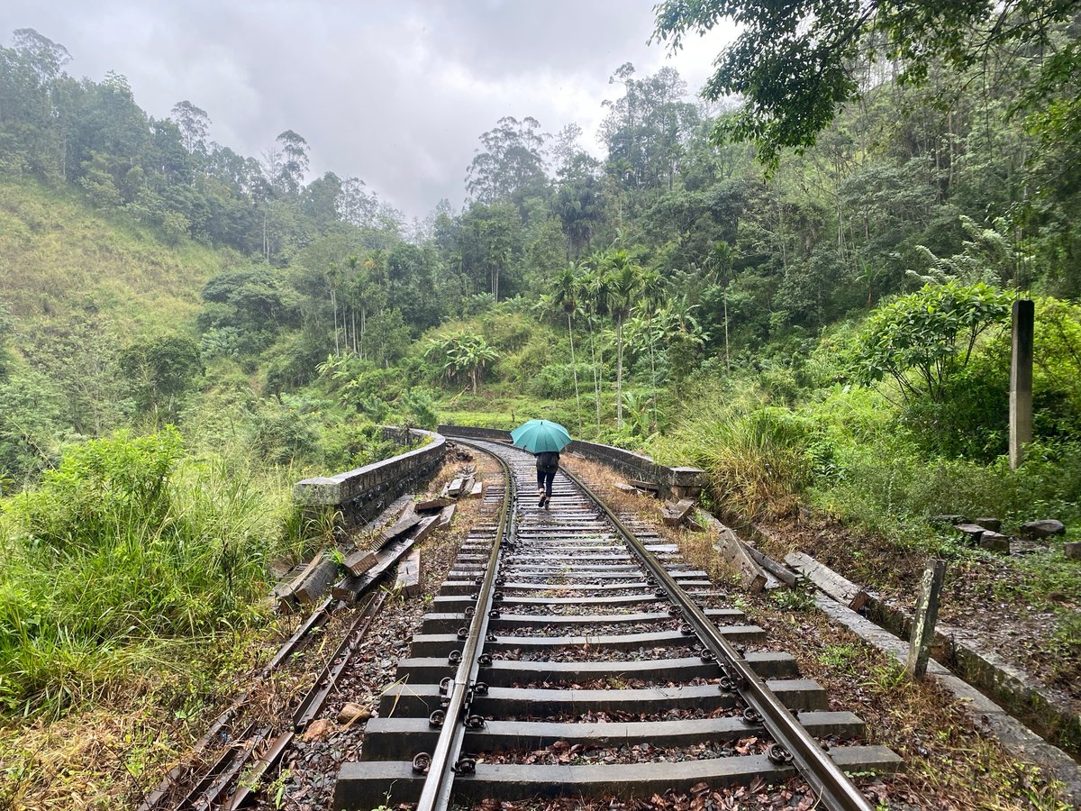 18 Dec 2025 - 11:15, Sri Lanka
