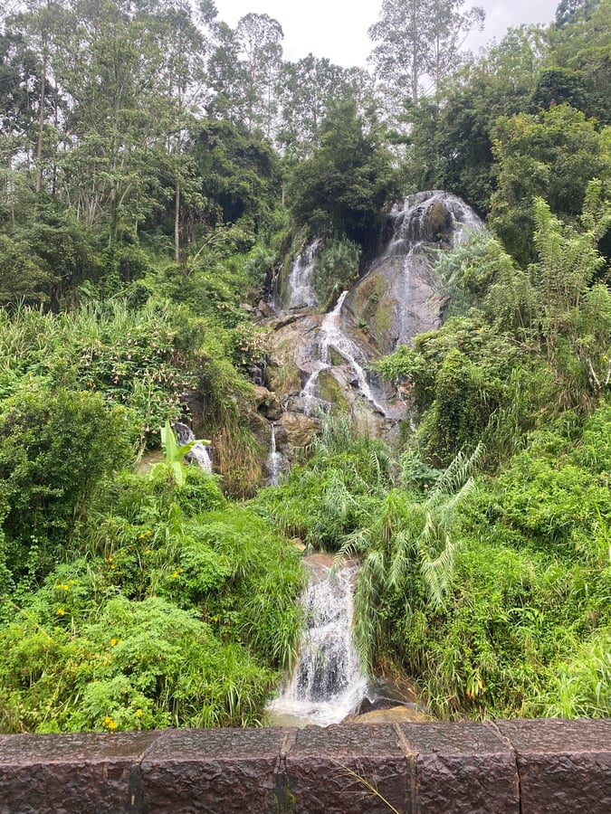 18 Dec 2025 - 11:17, Sri Lanka