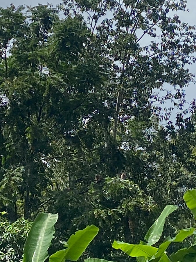 18 Dec 2025 - 11:27, Sri Lanka