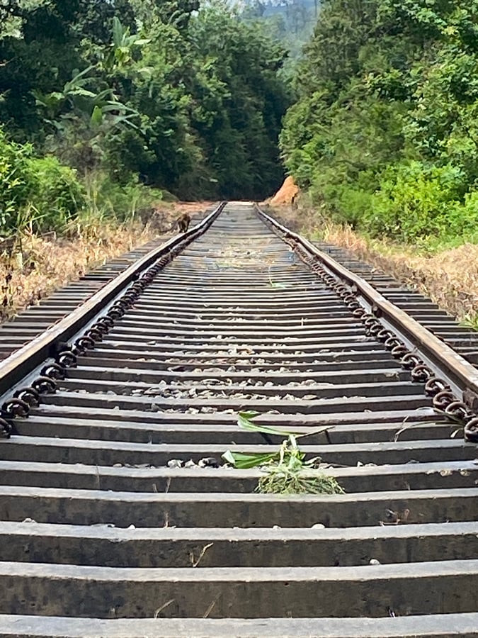 18 Dec 2025 - 11:27, Sri Lanka
