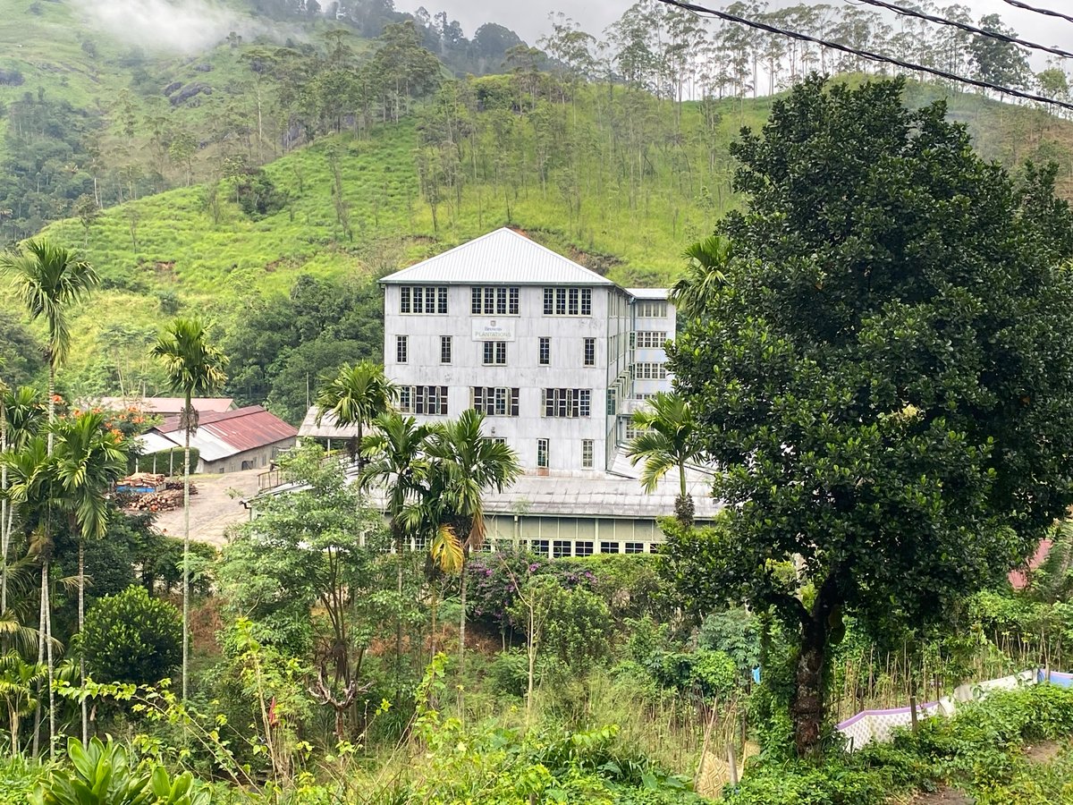 18 Dec 2025 - 12:55, Sri Lanka