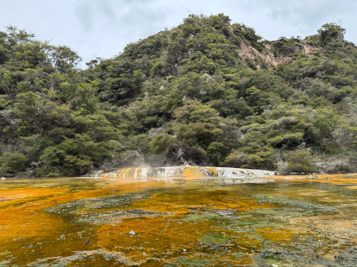 Exploraciones geotérmicas, Nueva Zelanda