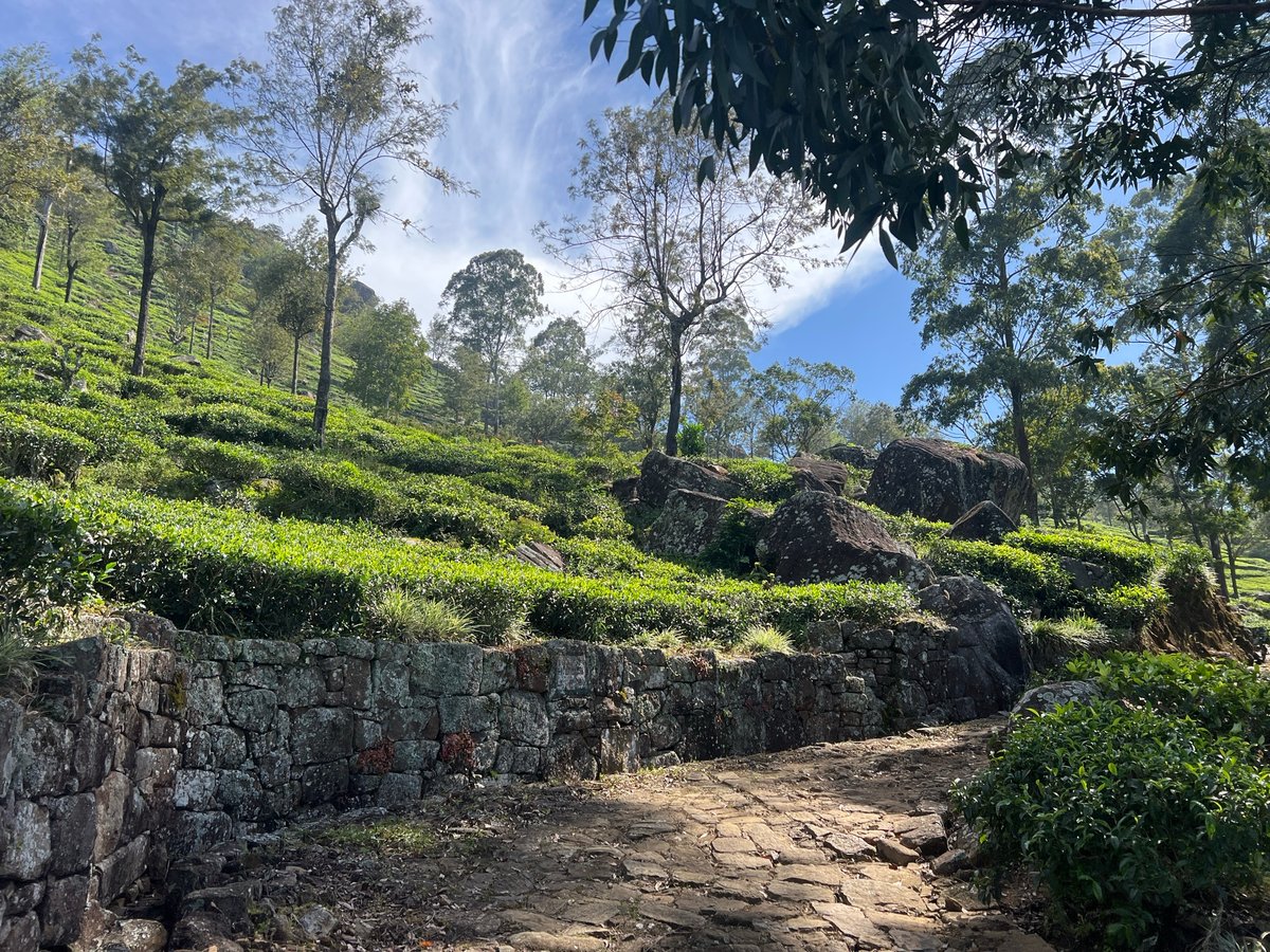 22 de diciembre de 2025 - 09:58, Sri Lanka