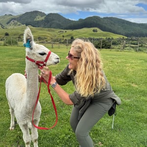 Cancelled hike = Alpaca walking by Nick