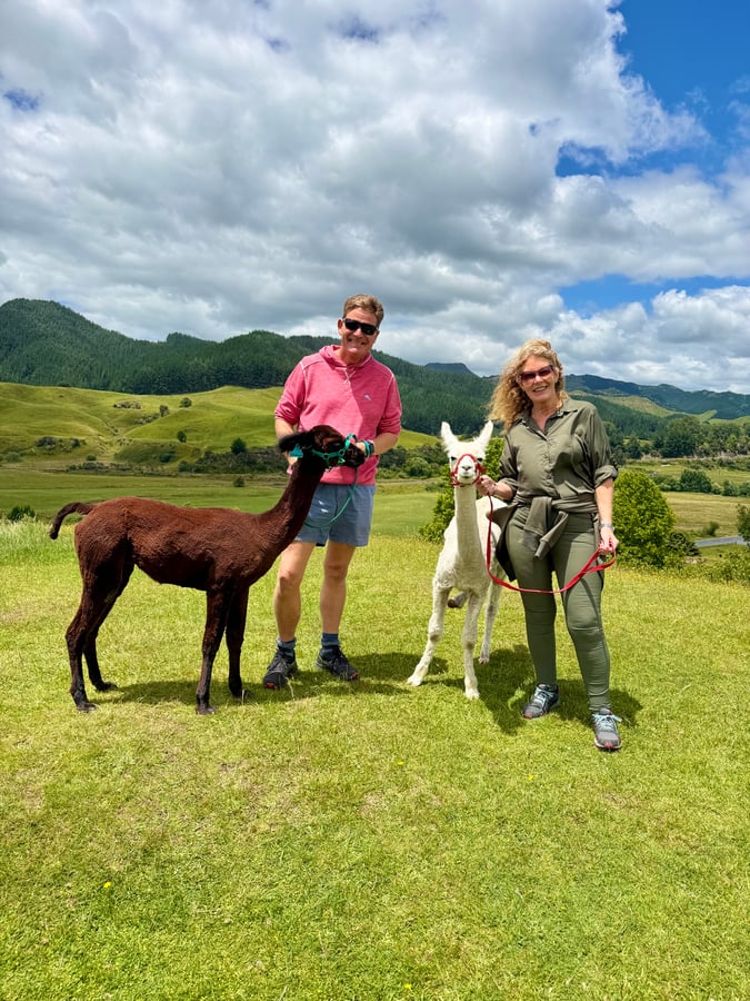 Caminata cancelada = Caminata con alpacas, Nueva Zelanda