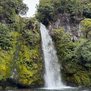 Mount Taranaki - Dawson Falls by Nick