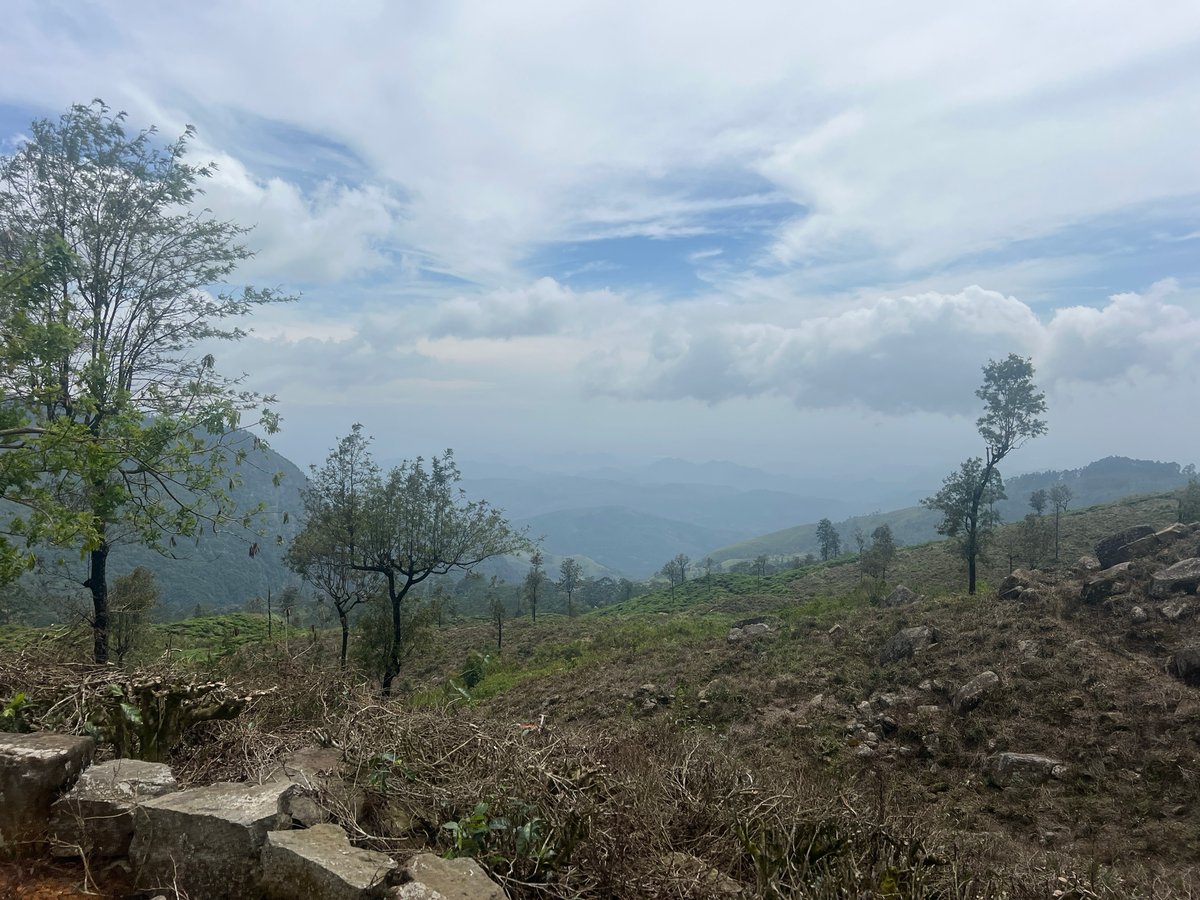 22 Dec 2025 - 12:46, Sri Lanka