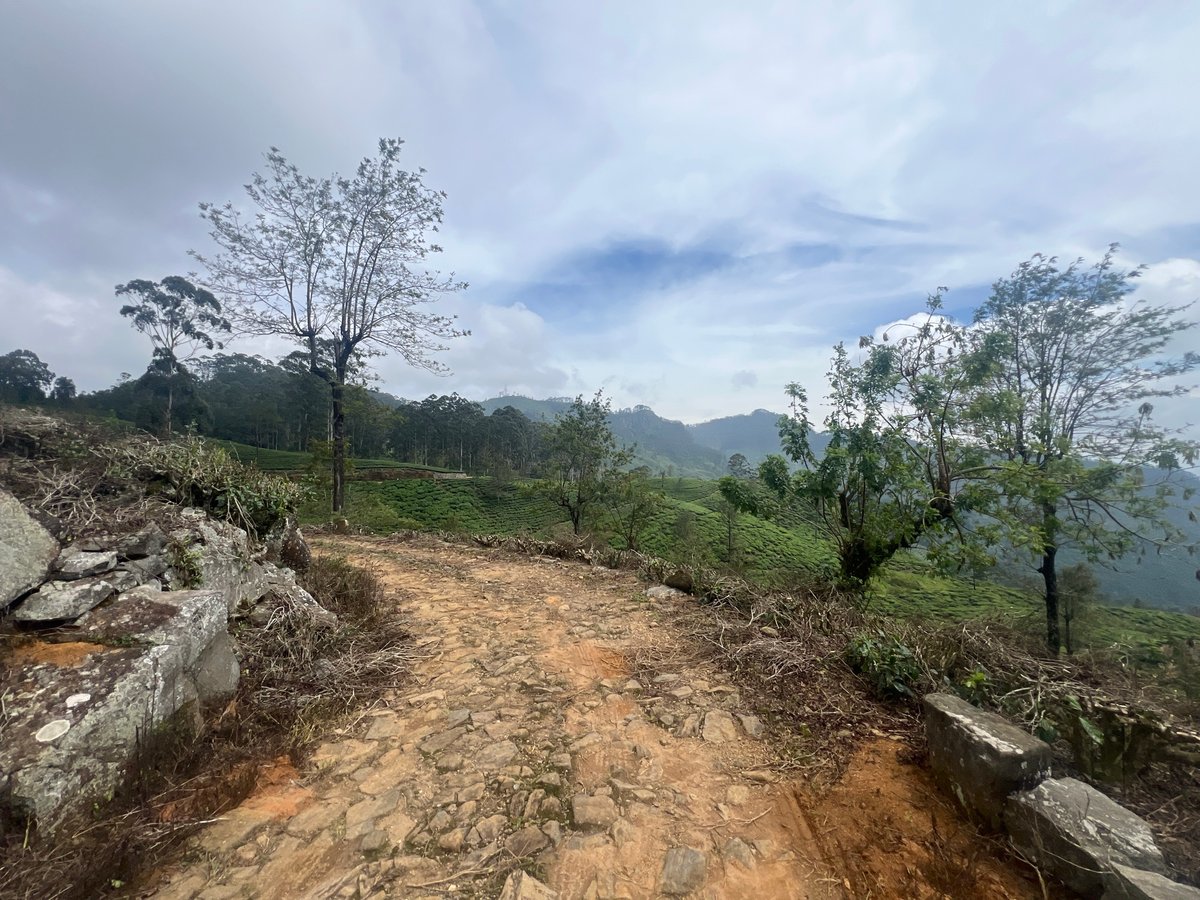 22 Dec 2025 - 12:46, Sri Lanka