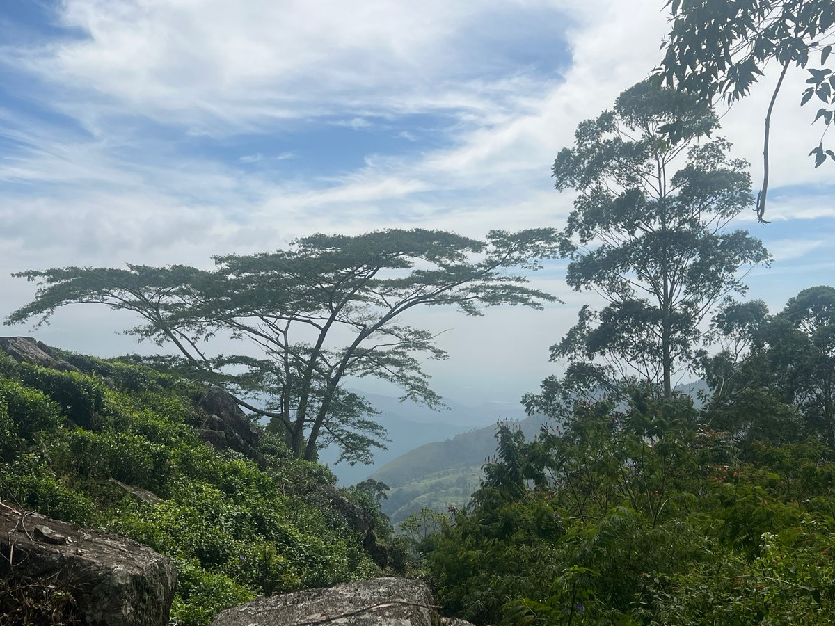 22 Dec 2025 - 13:23, Sri Lanka