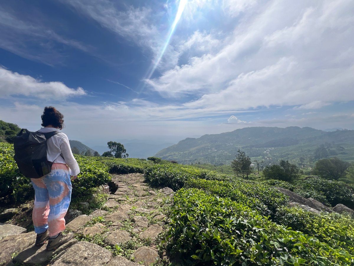 22 de diciembre de 2025 - 13:48, Sri Lanka