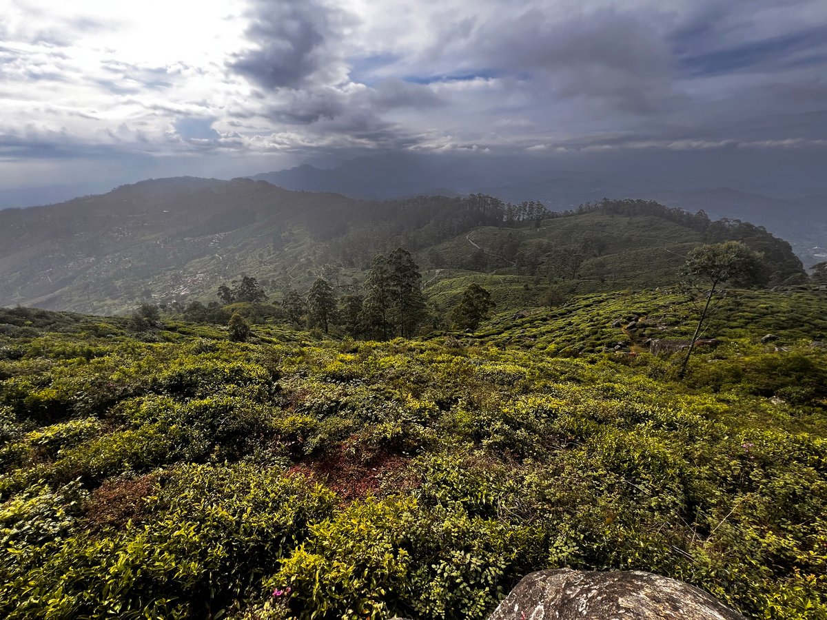 22 Dec 2025 - 15:12, Sri Lanka