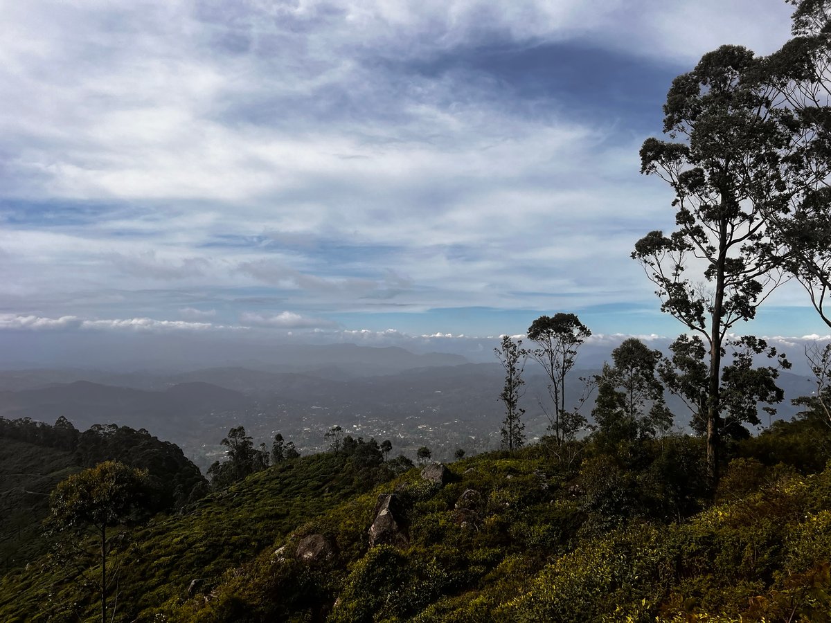 22 Dec 2025 - 15:12, Sri Lanka