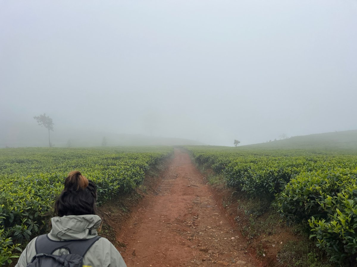 23 Dec 2025 - 09:45, Sri Lanka