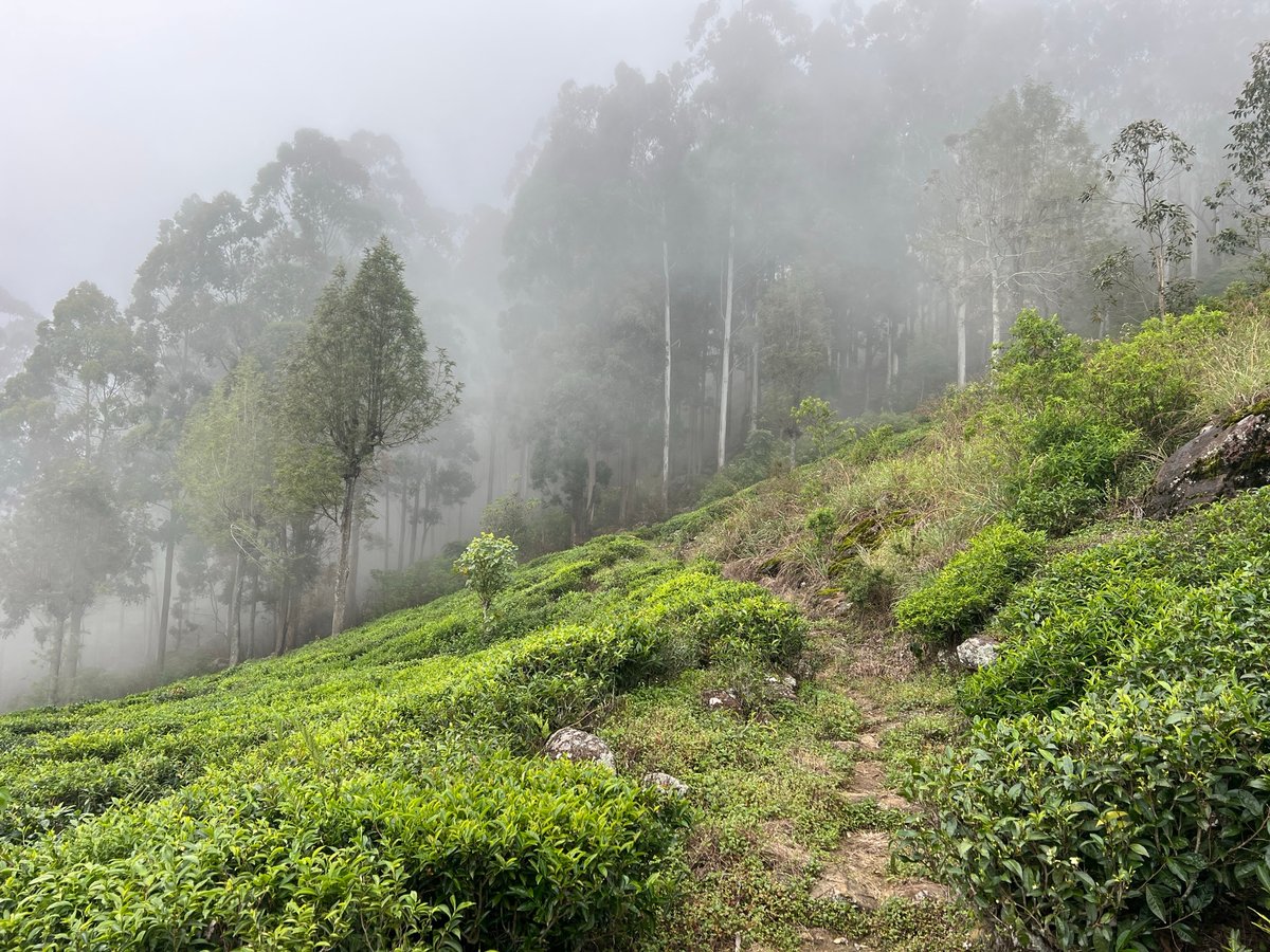 23 Dec 2025 - 10:12, Sri Lanka