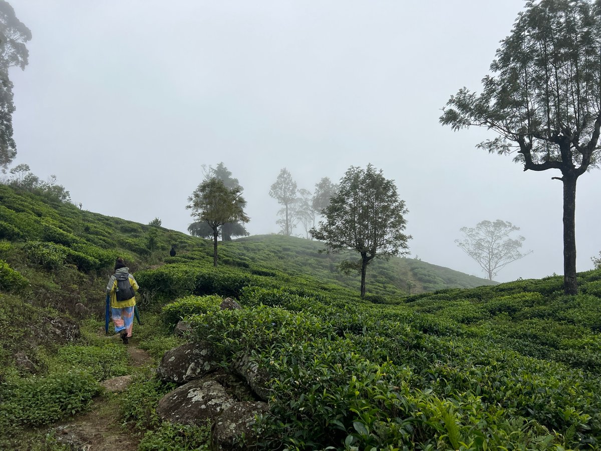 23 Dec 2025 - 10:12, Sri Lanka