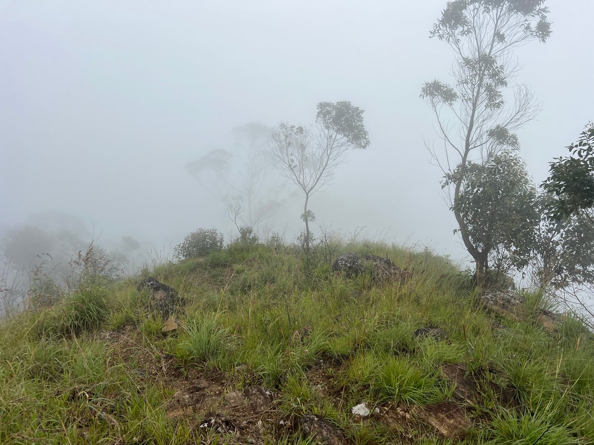 23 Dec 2025 - 10:16, Sri Lanka