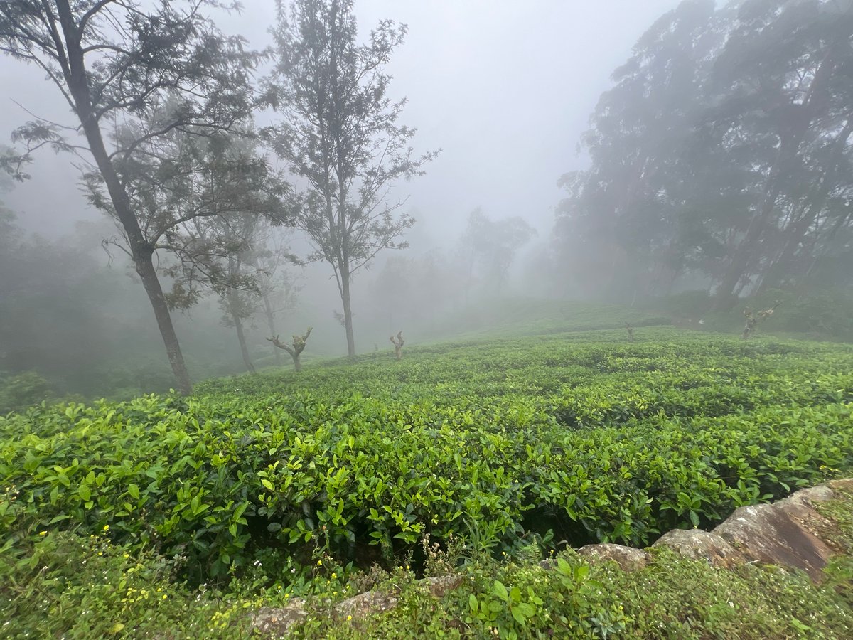 23 Dec 2025 - 10:59, Sri Lanka