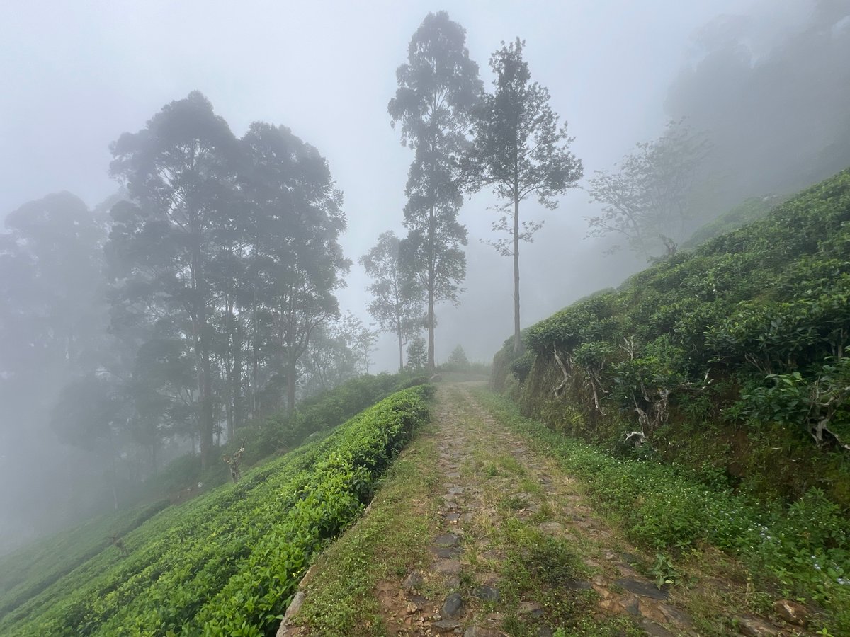 23 Dec 2025 - 10:59, Sri Lanka