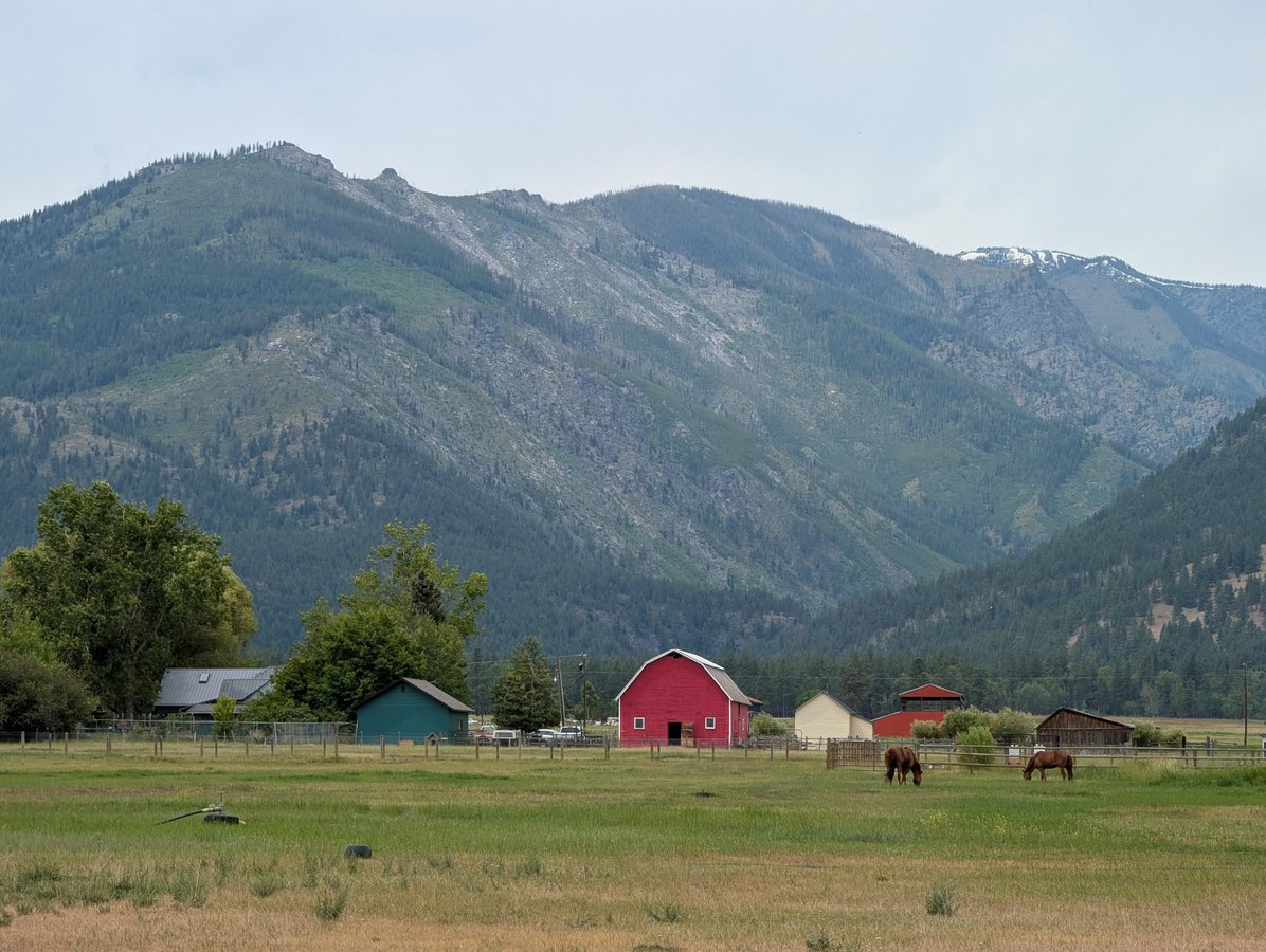 Horses!, United States