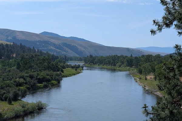 Montana 2025
