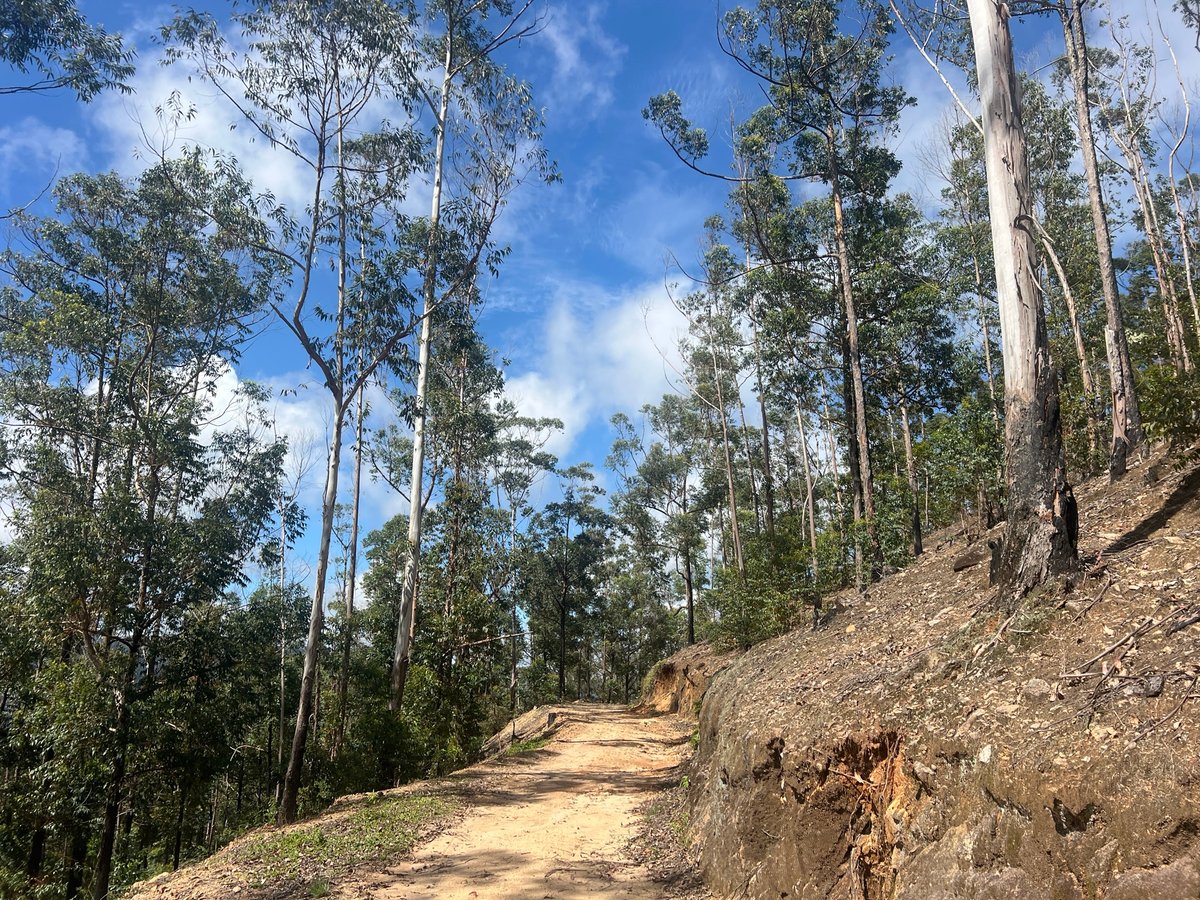 23 Dec 2025 - 13:31, Sri Lanka