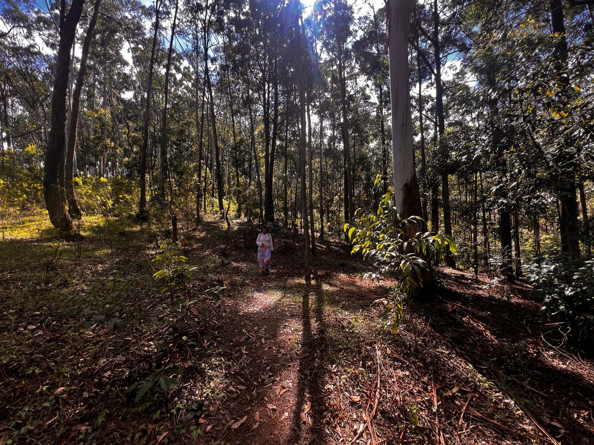 23 de diciembre de 2025 - 13:50, Sri Lanka
