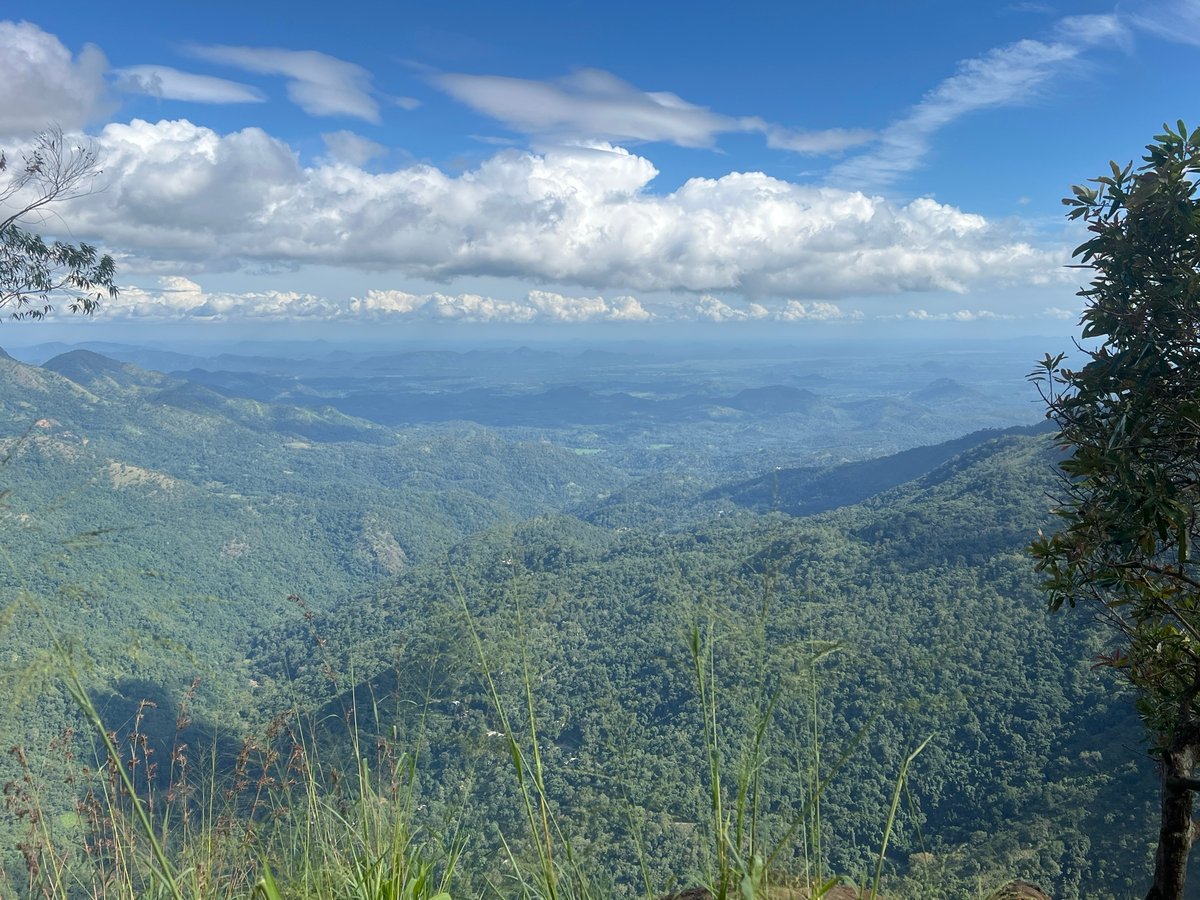 23 Dec 2025 - 14:44, Sri Lanka