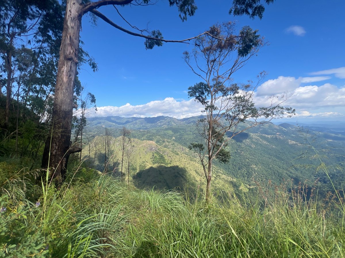 23 Dec 2025 - 14:44, Sri Lanka