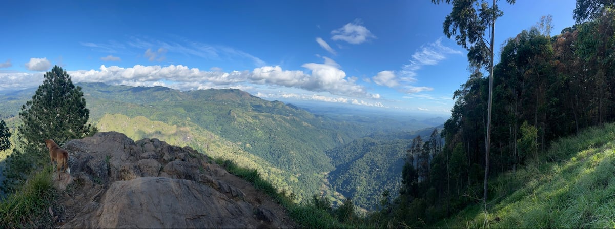 23 de diciembre de 2025 - 15:19, Sri Lanka