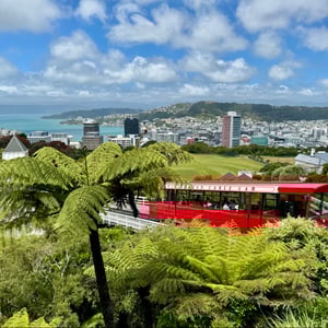 Wellington for Christmas by Nick