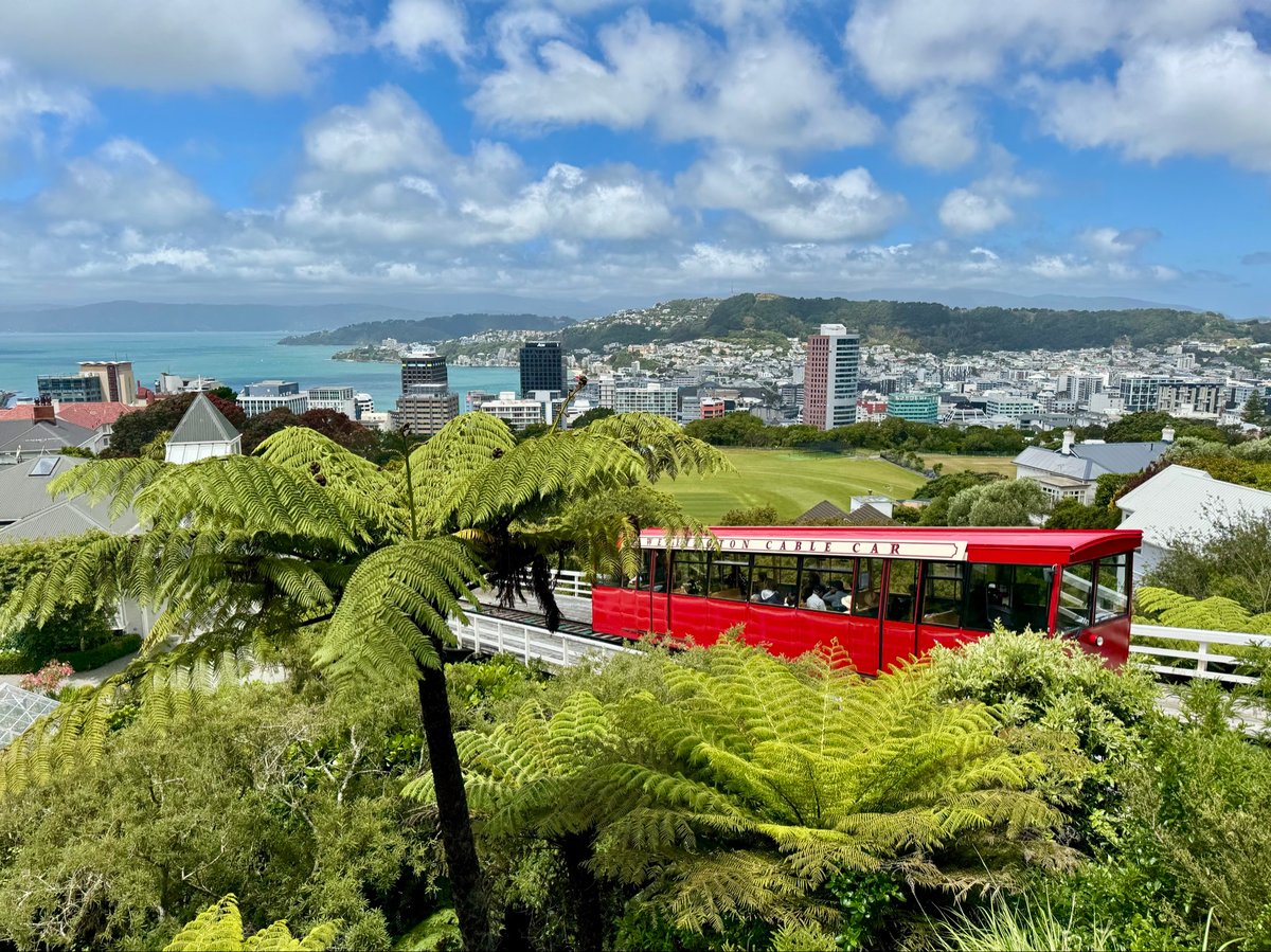 Wellington for Christmas, New Zealand