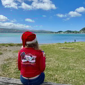 Wellington for Christmas by Nick