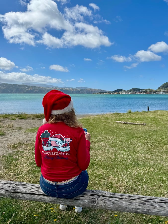 Wellington for Christmas, New Zealand