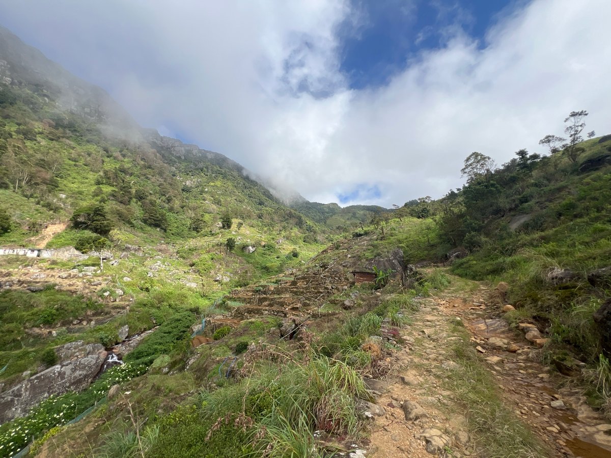 28 Dec 2025 - 09:25, Sri Lanka
