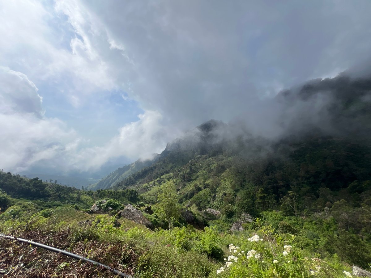 28 Dec 2025 - 09:33, Sri Lanka
