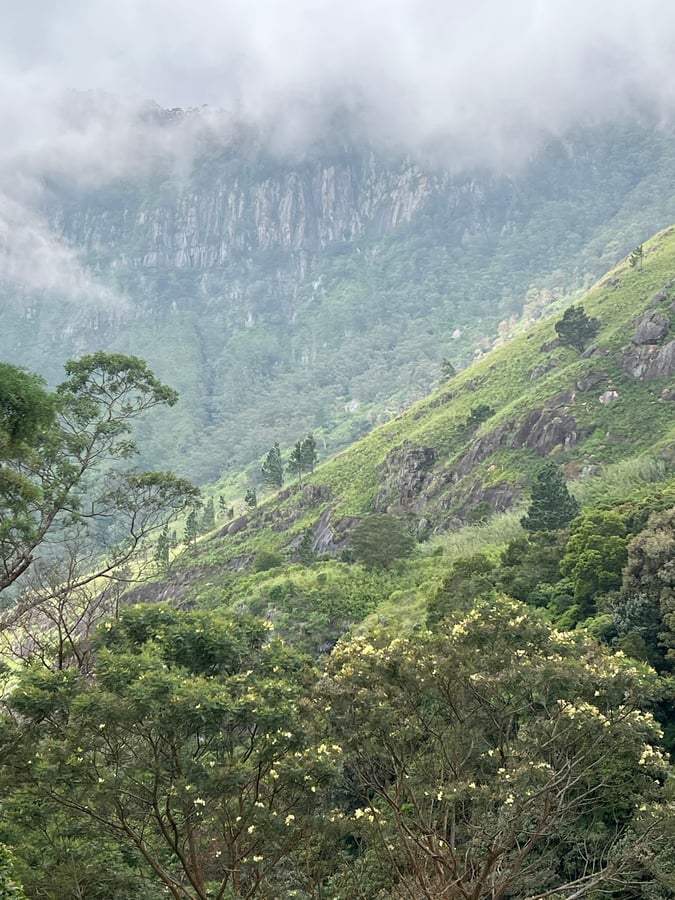 28 Dec 2025 - 10:23, Sri Lanka