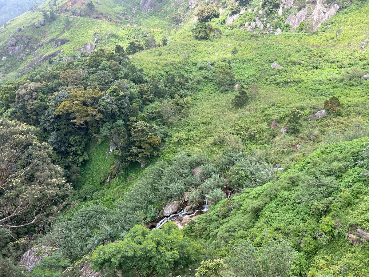 28 Dec 2025 - 10:23, Sri Lanka