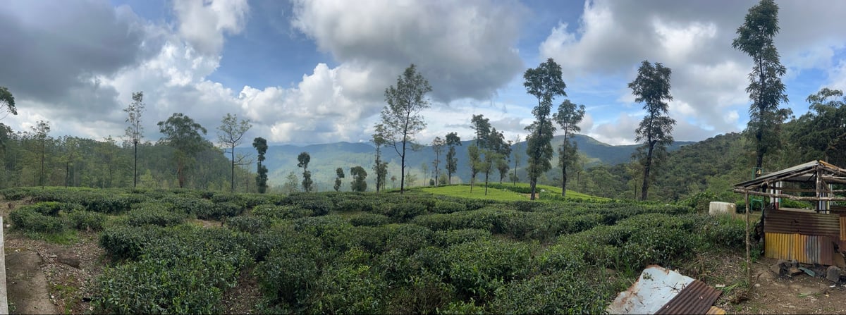 29 décembre 2025 - 14h32, Sri Lanka