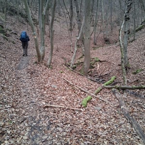 29 Dec 2025 - 20:13 by Luc